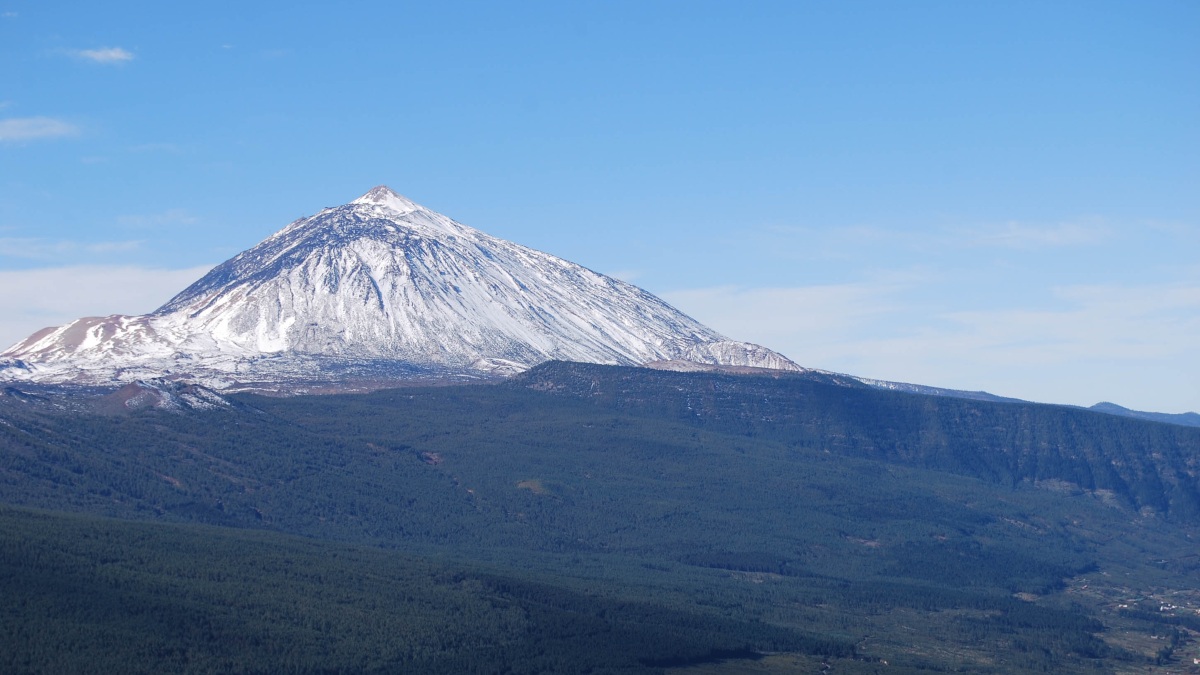 Imagen del Teode nevado. (Fuente: Cabildo de Tenerife)