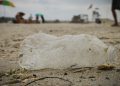 Informe de banderas negras 2024 de Ecologistas en Acción