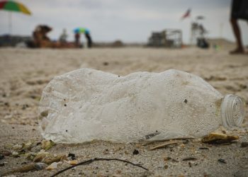 Informe de banderas negras 2024 de Ecologistas en Acción